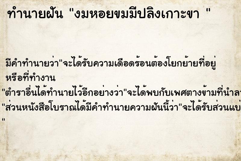 ทำนายฝัน งมหอยขมมีปลิงเกาะขา 